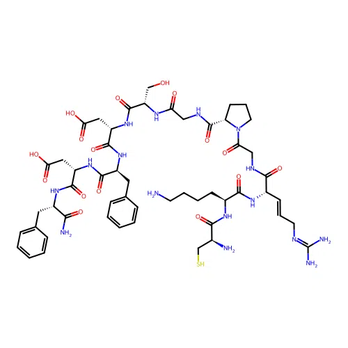 D-loop peptide, structure