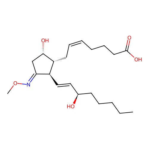 11-methoxime prostaglandin D2 structure