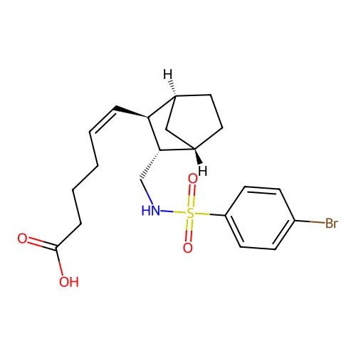 Ono-NT 126 structure