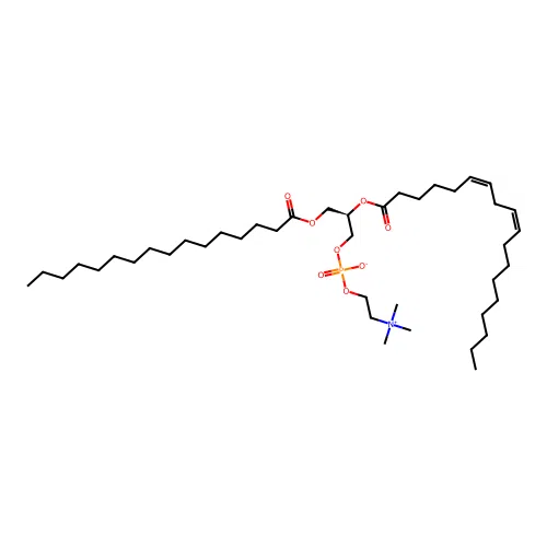 1-Palmitoyl-2-isolinoleoyl phosphatidylcholine structure