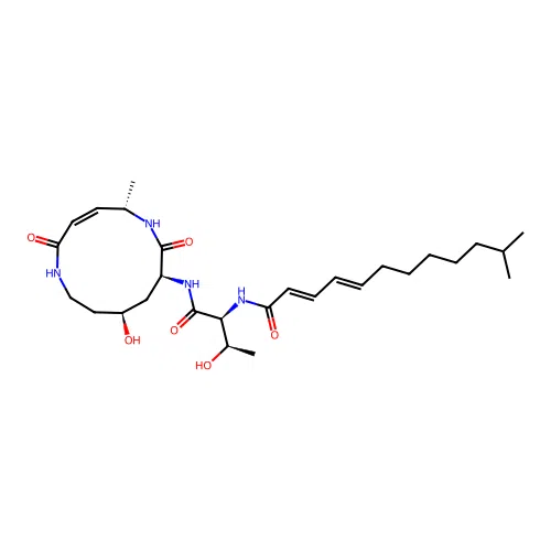 Cepafungin I structure