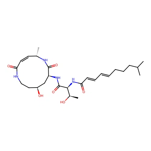 Cepafungin III structure