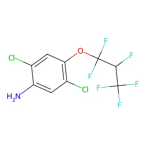2,5-Dichloro-4-(1,1,2,3,3,3-hexafluoropropoxy)aniline structure