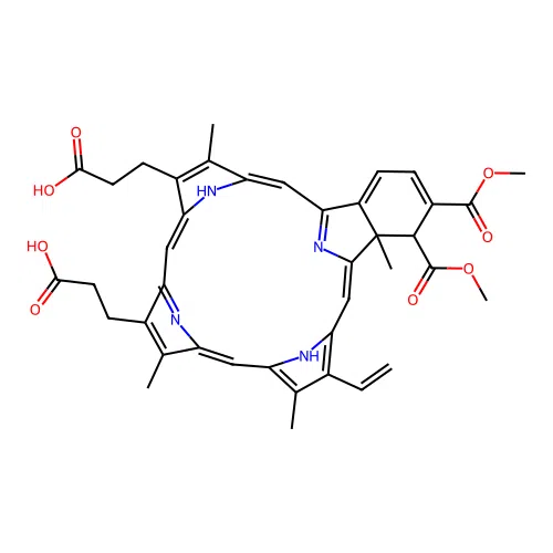 Bpd-DB structure