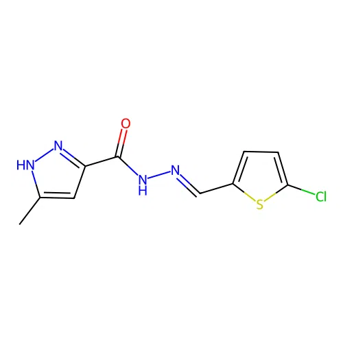 N'-[(E)-(5-chlorothiophen-2-yl)methylidene]-3-methyl-1H-pyrazole-5-carbohydrazide structure