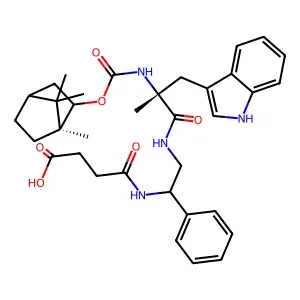 Cam 1028 structure