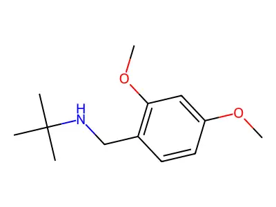 Tert-butyl[(2,4-dimethoxyphenyl)methyl]amine structure