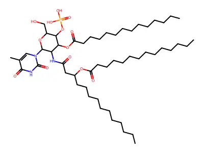 T-phosphoglucoside structure