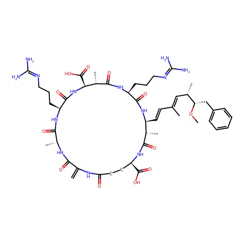 (Dha7)MC-RR structure