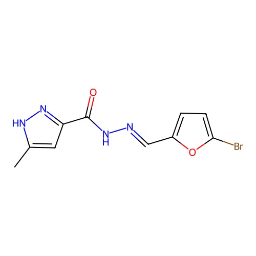 N'-[(E)-(5-bromofuran-2-yl)methylidene]-3-methyl-1H-pyrazole-5-carbohydrazide structure