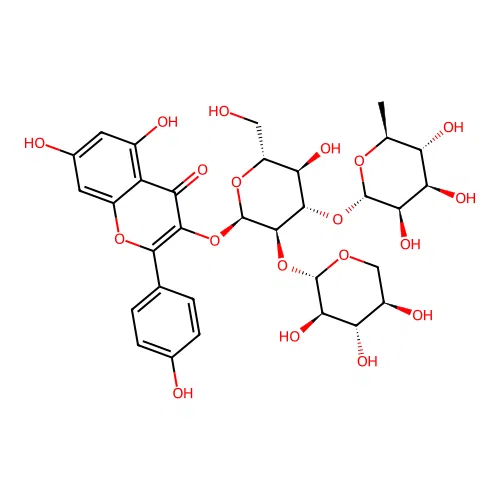 Camelliaside B structure