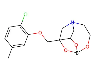 3-[(2-chloro-5-methylphenoxy)methyl]-2,8,9-trioxa-5-aza-1-borabicyclo[3.3.3]undecane structure
