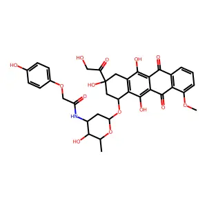 doxorubicin-N-4-hydroxyphenoxyacetamide structure