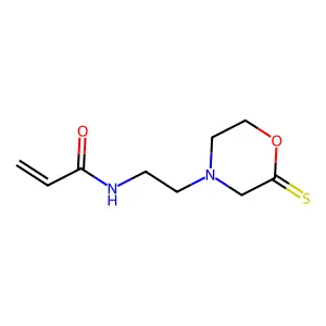 2-Thiomorpholinoethylacrylamide structure