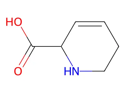 1,2,3,6-Tetrahydropyridine-6-carboxylic acid structure