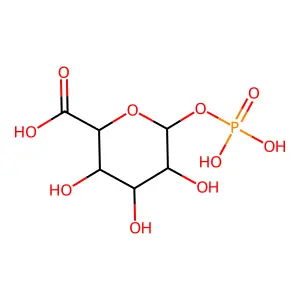 1-phospho-alpha-D-glucuronic acid structure