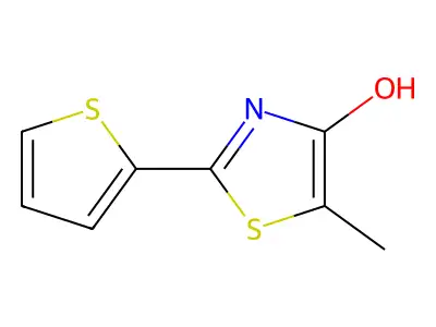 2-(2-Thienyl)-4-hydroxy-5-methylthiazole structure