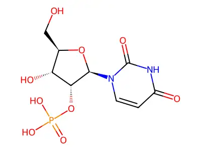 2'-Uridylic acid structure