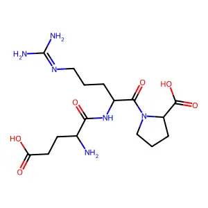 Glutamyl-arginyl-proline structure