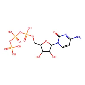 AraCTP structure