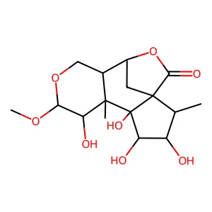 Illicinolide A structure