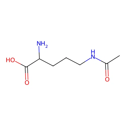 N(5)-acetylornithine zwitterion structure