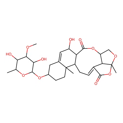 Neocynaversicoside structure