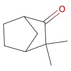Camphenilone structure