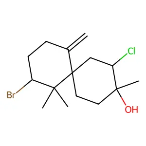 Hurgadol structure