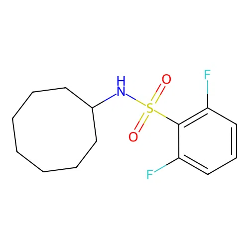 N-cyclooctyl-2,6-difluorobenzenesulfonamide structure