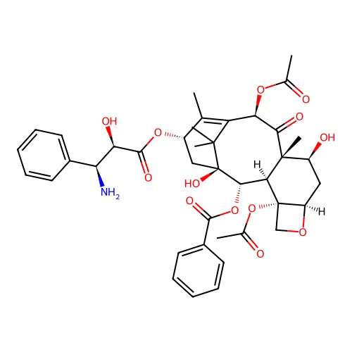 N-Debenzoyltaxol structure