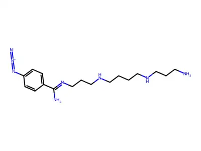 N(1)-(azidobenzamidino)spermine structure