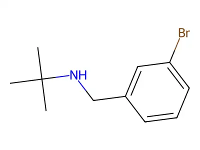 N-(3-bromobenzyl)-N-(tert-butyl)amine structure