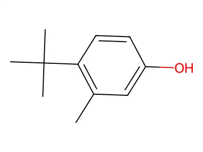 Camiglibose structure