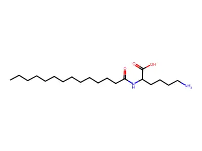 6-Amino-2-tetradecanamidohexanoic acid structure