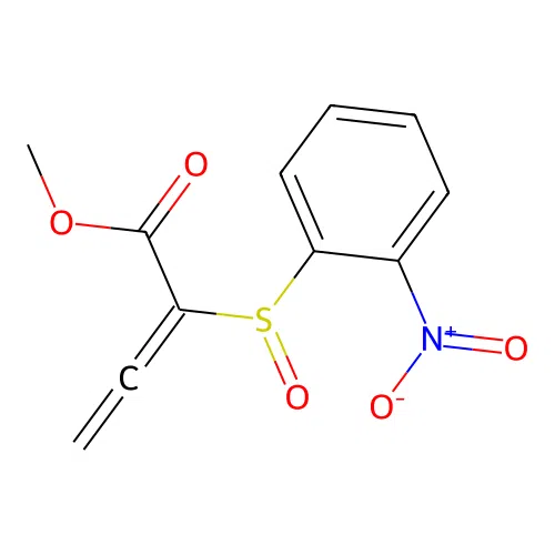 Methyl 2-(2-nitrophenyl)sulfinylbuta-2,3-dienoate structure