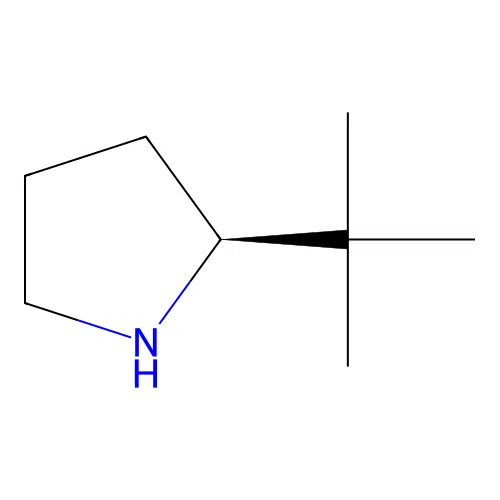 (S)-2-(tert-Butyl)pyrrolidine structure