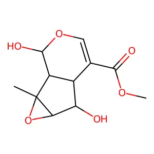 Lamiophlomiol A structure