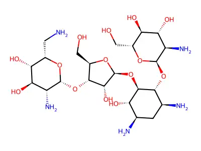 Paromomycin structure