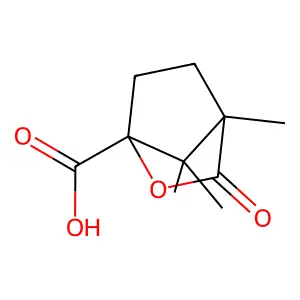 4,7,7-Trimethyl(2-oxabicyclo(2.2.1)hept-1-yl)carboxylic acid structure