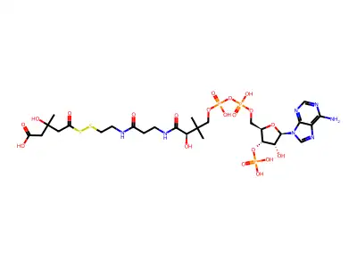 3-hydroxy-3-methylglutaryldithio-coenzyme A structure