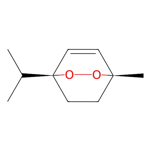 cis-Isoascaridole structure