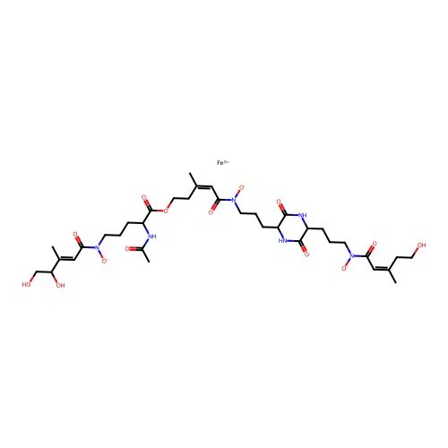 Hydroxycoprogen structure