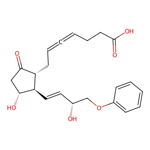 4,5-Heptadienoic acid, 7-(3-hydroxy-2-(3-hydroxy-4-phenoxy-1-butenyl)-5-oxocyclopentyl)-, (1R-(1alpha(R*),2beta(1E,3R*),3alpha))- structure