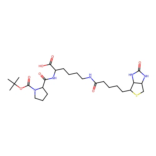 Biocytin-N-(t-boc)-L-proline structure