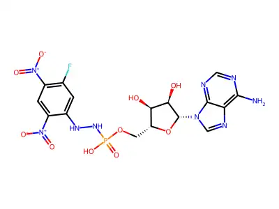 adenosine-5-N'-(2,4-dinitro-5-fluorophenyl)phosphohydrazine structure