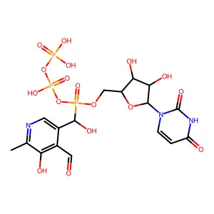 Uridine triphosphopyridoxal structure