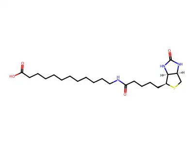 N-Biotinyl-12-aminododecanoic Acid structure