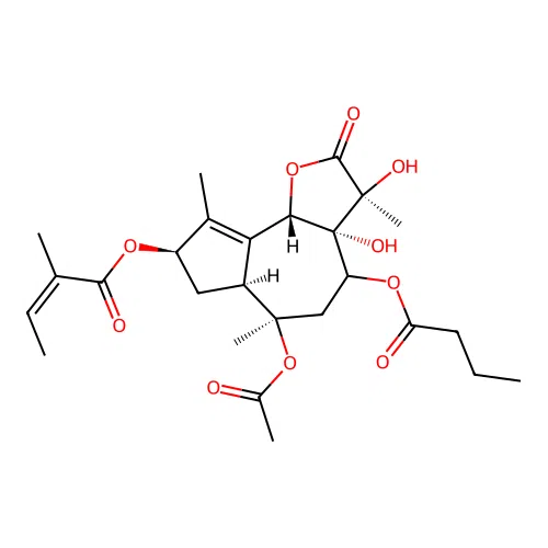 Nortrilobolide structure