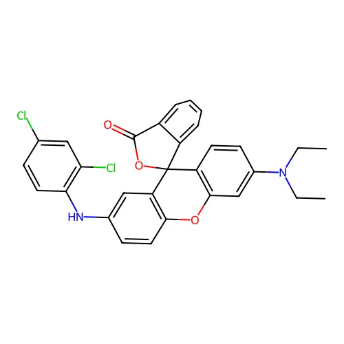 2'-[(2,4-dichlorophenyl)amino]-6'-(diethylamino)-3H-spiro[2-benzofuran-1,9'-xanthen]-3-one structure
